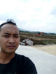 alvin