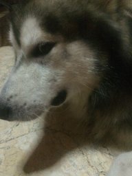 BEN