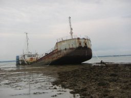 Asroy