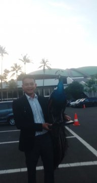 Eka saputra